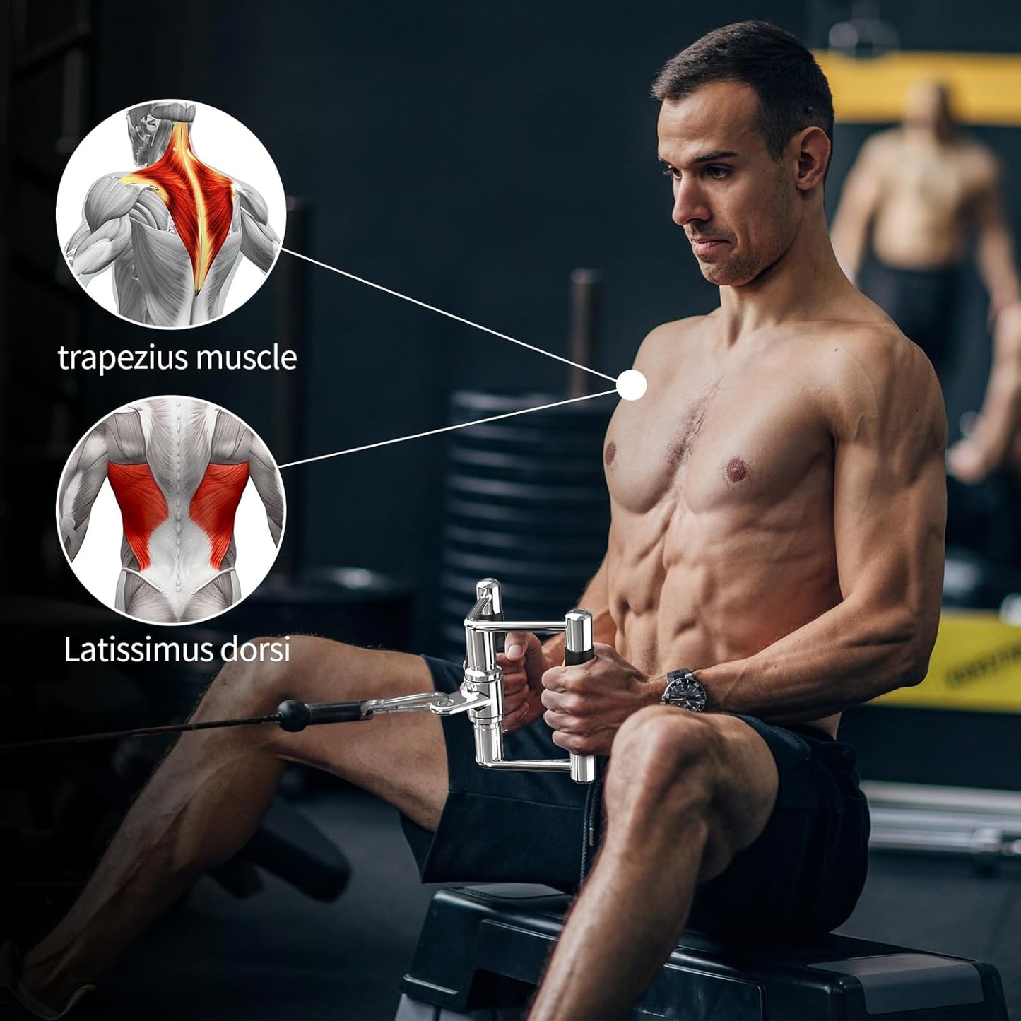 Triceps Pull down Attachment, Cable Machine Accessories for Home Gym, Lat Pull down Attachment Weight Fitness